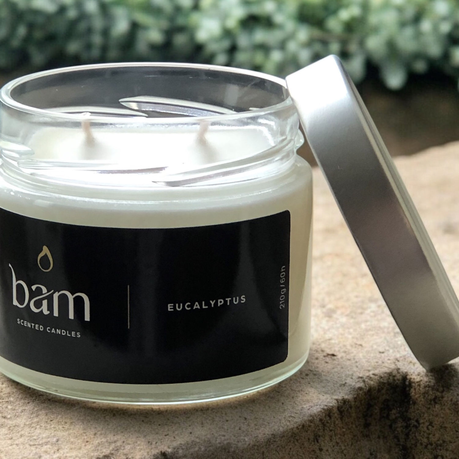 Eucalyptus - Basic Collection Medium