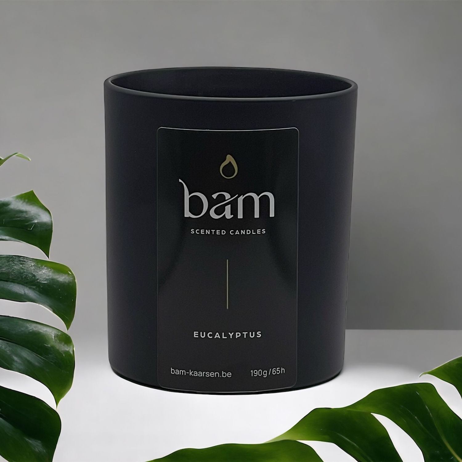 Eucalyptus - Black Collection Medium