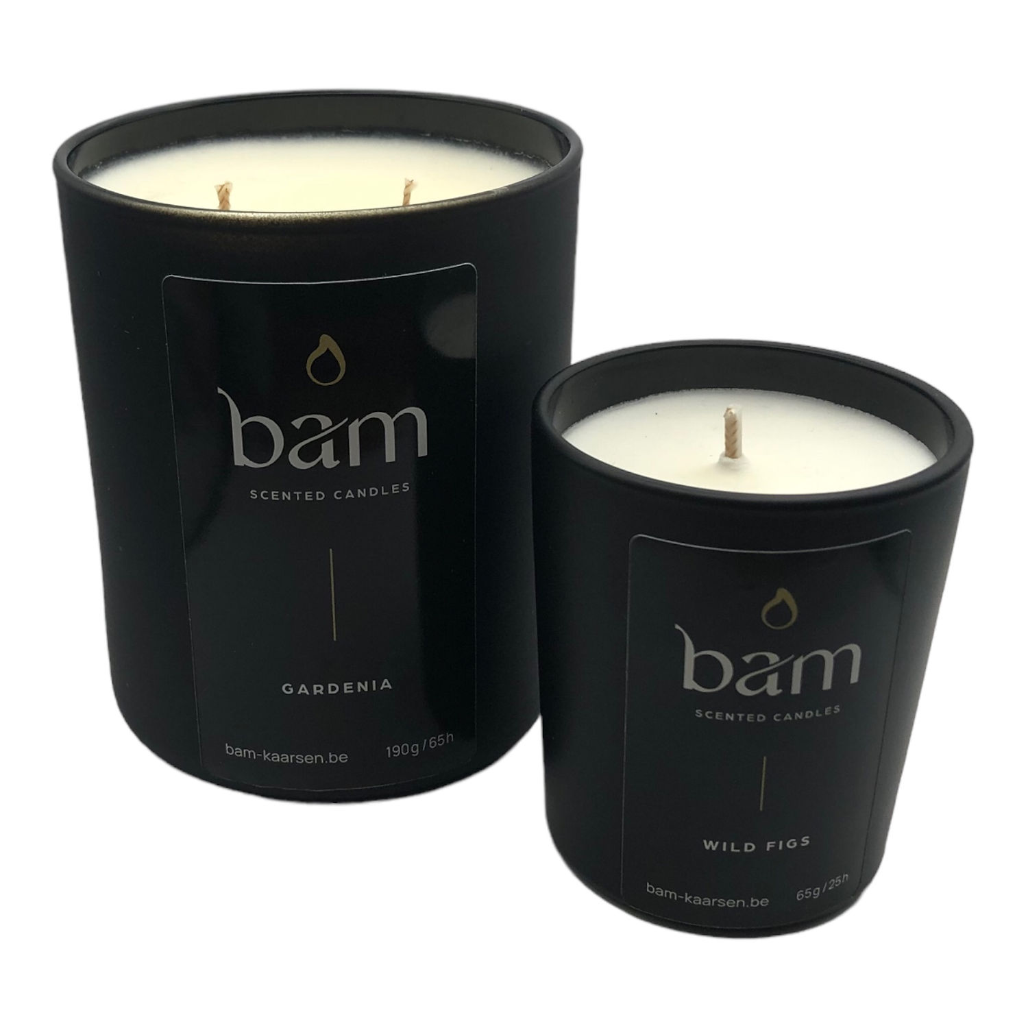 Gardenia - Black Collection Medium