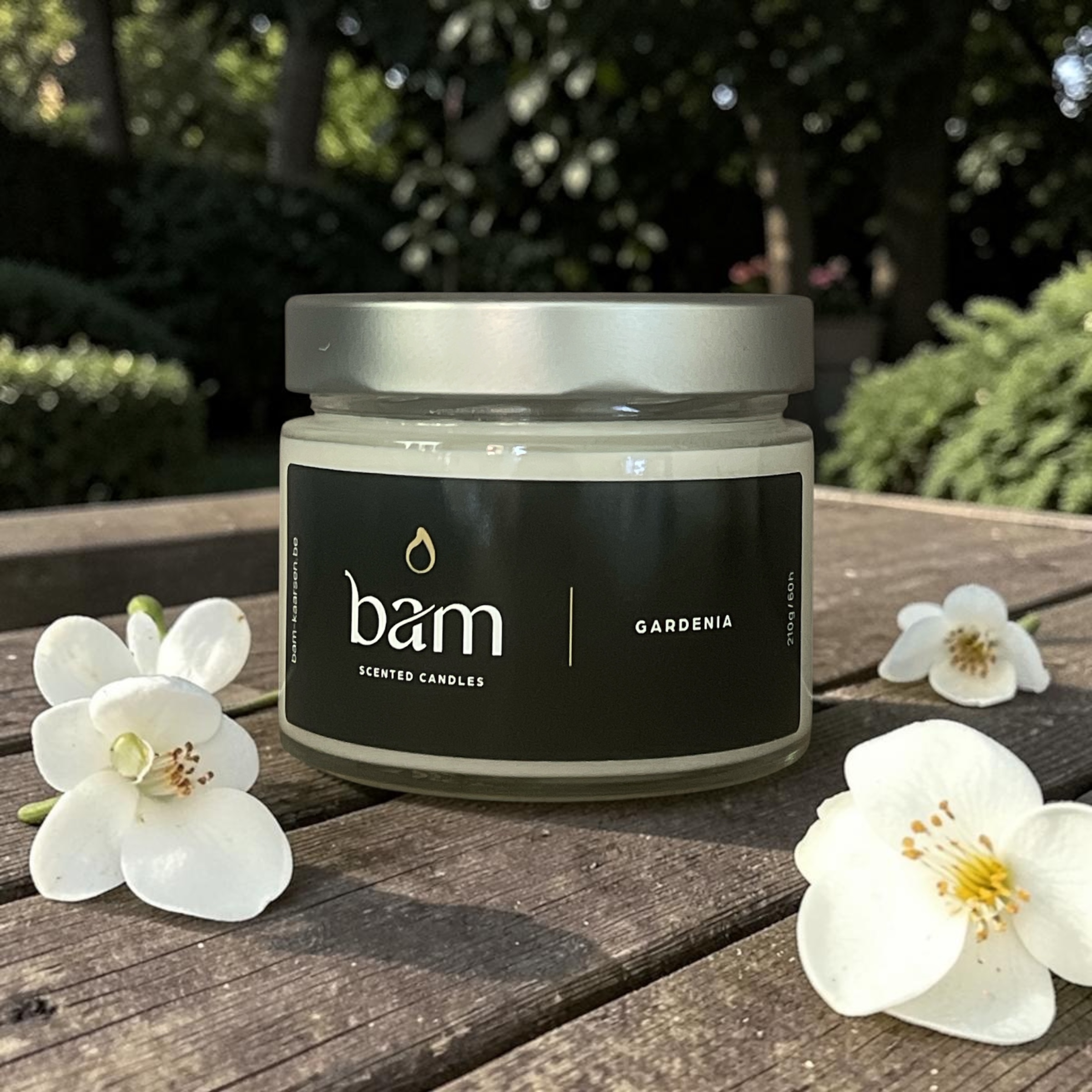 Gardenia - Basic Collection Medium