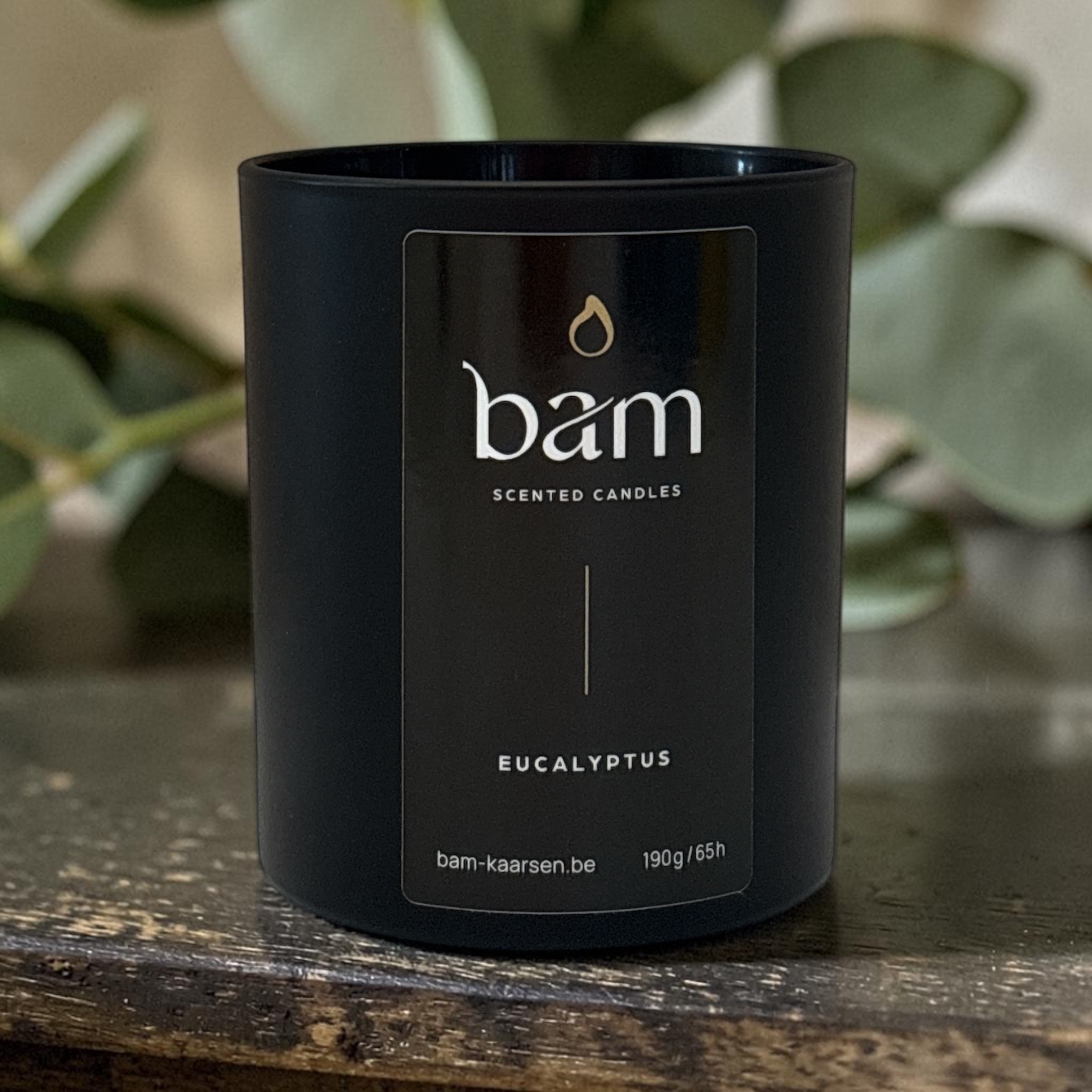 Eucalyptus Scented Candle - Black Collection Medium