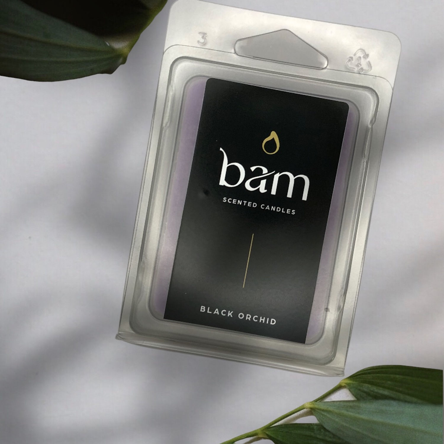 Waxmelt Zwarte Orchidee