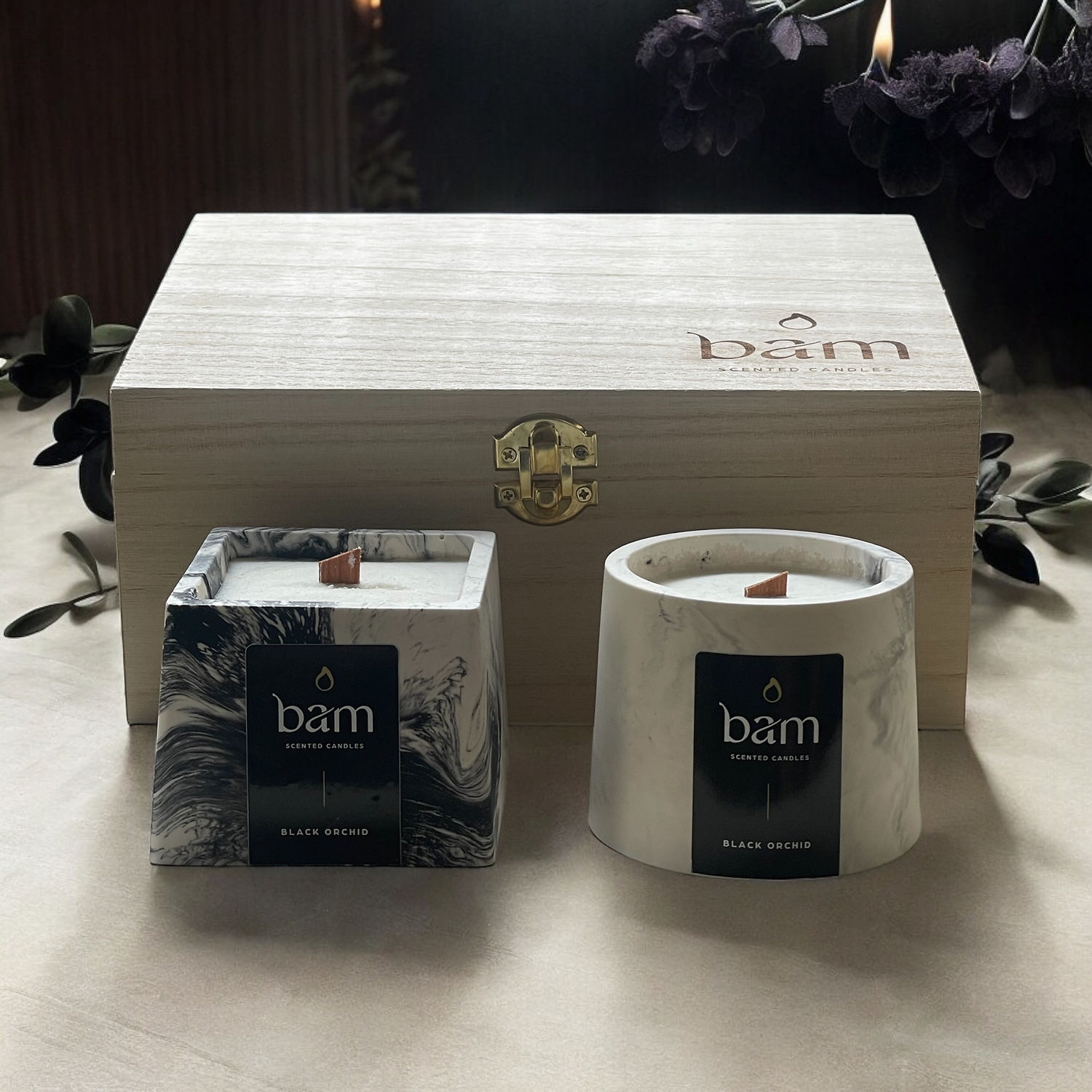 Waxmelt Zwarte Orchidee